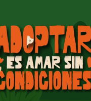 Mañana sábado  gran jornada de adopciones de animales de compañía en el Centro Comercial Andino de Bogotá